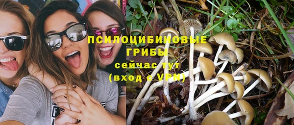 ПСИЛОЦИБИНОВЫЕ ГРИБЫ Балабаново
