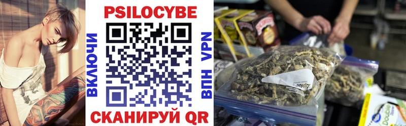 дарк нет как зайти  Пестово  Псилоцибиновые грибы мухоморы 